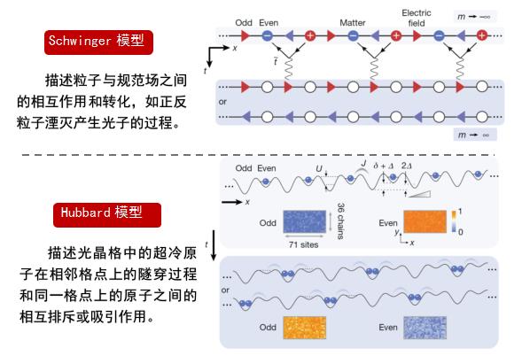 量子计算和量子模拟研究获重要突破：中国科大在71个格点的超冷原子量子 